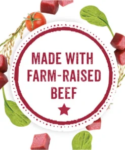 Beneful® Tuscan Style Medleys Wet Dog Food - 3 Pack -Schlage Shop 00017800152938 CF KEYINGR GS1 JPEG