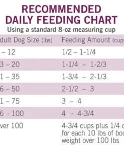 Dog Chow® Tender & Crunchy Lamb Dry Dog Food - 16.5 Lbs -Schlage Shop 1780014905 CF FIADV GS1 JPEG