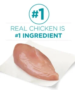 Purina ONE Purina® ONE Tender Selects Blend Chicken Dry Cat Food - 3.5 Lbs -Schlage Shop 1780057118 CF KEYINGR GS1 JPEG