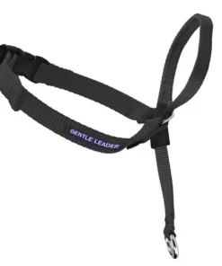 PetSafe® Gentle Leader® Black Dog Headcollar - Medium 6 PetSafe® Gentle Leader® Black Dog Headcollar - Medium -Schlage Shop 2531304