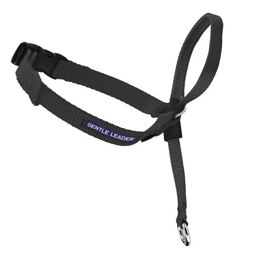PetSafe® Gentle Leader® Black Dog Headcollar - Medium 4 PetSafe® Gentle Leader® Black Dog Headcollar - Medium - Image 2