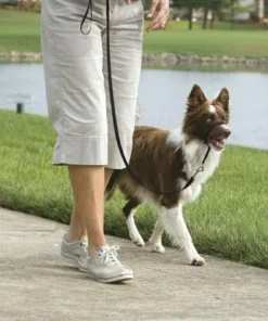 PetSafe® Gentle Leader® Black Dog Headcollar - Medium 7 PetSafe® Gentle Leader® Black Dog Headcollar - Medium -Schlage Shop 2531304 SC