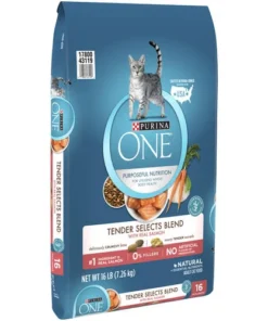 Purina ONE Purina® ONE Tender Selects Blend Salmon Dry Cat Food - 16 Lbs -Schlage Shop 2537107 P RF