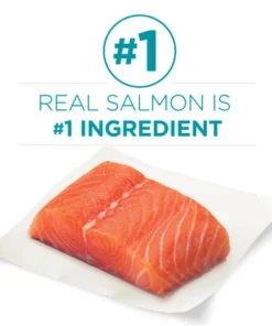 Purina ONE Purina® ONE Tender Selects Blend Salmon Dry Cat Food - 16 Lbs -Schlage Shop 2537107 P SC1