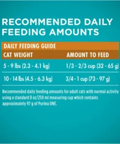 Purina ONE Purina® ONE Chicken & Rice Cat Food - 16 Lbs -Schlage Shop 2537108 P SC2