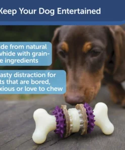 PetSafe® Busy Buddy® X-Small Treat Holding Bristle Bone® Dog Toy -Schlage Shop BB BRI BN XS PT01