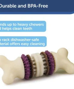 PetSafe® Busy Buddy® X-Small Treat Holding Bristle Bone® Dog Toy -Schlage Shop BB BRI BN XS PT02