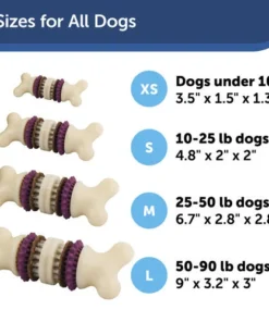 PetSafe® Busy Buddy® X-Small Treat Holding Bristle Bone® Dog Toy -Schlage Shop BB BRI BN XS PT04