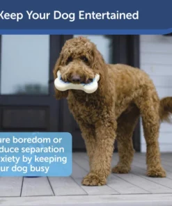 PetSafe® Busy Buddy® Size-B Natural Rawhide Dog Toy Treat Rings - 16 Count -Schlage Shop BB GN RING RH M PT04