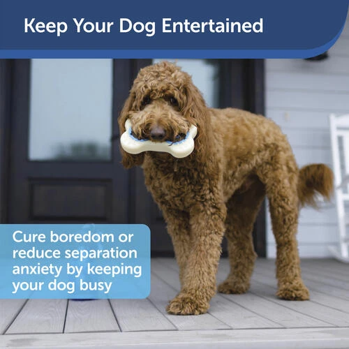 PetSafe® Busy Buddy® Size A Natural Rawhide Dog Toy Treat Rings - 16 Count 8 PetSafe® Busy Buddy® Size A Natural Rawhide Dog Toy Treat Rings - 16 Count - Image 6