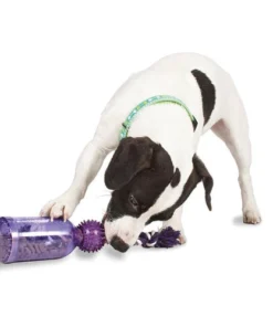 PetSafe® Busy Buddy® Tug-A-Jug™ Dog Toy 6 PetSafe® Busy Buddy® Tug-A-Jug™ Dog Toy -Schlage Shop BB TAJ S Busy Buddy Tug A Jug Scene 1