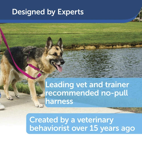 PetSafe® 5.75" X 5.75" 2-Way Locking Cat Door 7 PetSafe® 5.75" X 5.75" 2-Way Locking Cat Door - Image 5