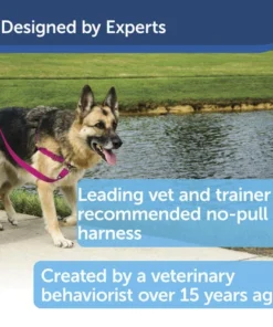 PetSafe® Easy Walk® Red/Black Harness - Large -Schlage Shop EWH HC M BLK PT02