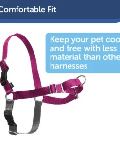 PetSafe® Easy Walk® Red/Black Harness - Large -Schlage Shop EWH HC M BLK PT03