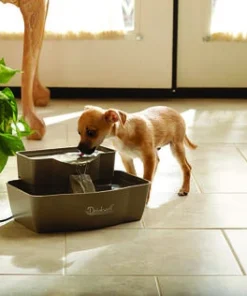 PetSafe® Drinkwell® Multi-Tier Pet Water Fountain - 100 Oz. -Schlage Shop HWW11 14503Multi TierPetFountainScene1