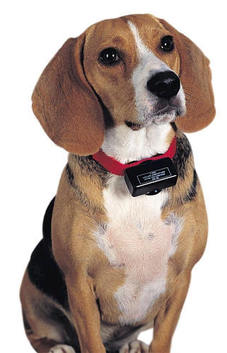 PetSafe® Basic Bark Control Dog Collar 4 PetSafe® Basic Bark Control Dog Collar - Image 2