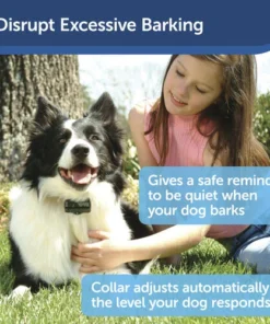 PetSafe® Basic Bark Control Dog Collar 13 PetSafe® Basic Bark Control Dog Collar -Schlage Shop PBC 102 PT01