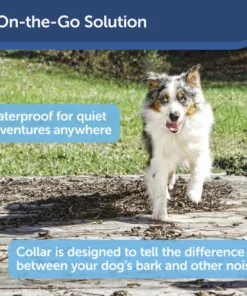 PetSafe® Basic Bark Control Dog Collar 14 PetSafe® Basic Bark Control Dog Collar -Schlage Shop PBC 102 PT02