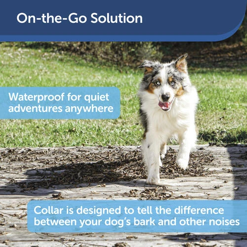 PetSafe® Basic Bark Control Dog Collar 6 PetSafe® Basic Bark Control Dog Collar - Image 4