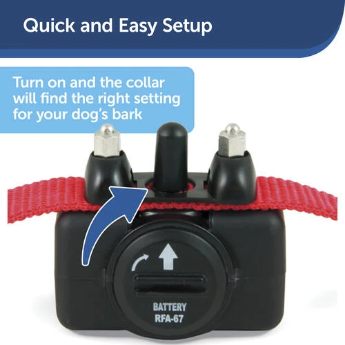 PetSafe® Basic Bark Control Dog Collar 7 PetSafe® Basic Bark Control Dog Collar - Image 5