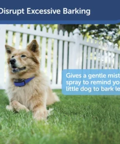 PetSafe® Elite Little Dog Spray Bark Control Dog Collar -Schlage Shop PBC00 11283 PT01