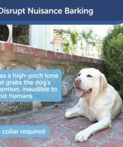 PetSafe® Elite Outdoor Bark Control -Schlage Shop PBC00 12788 PT01