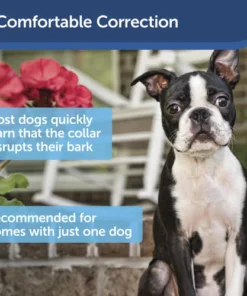 PetSafe® Ultrasonic Bark Control Dog Collar 12 PetSafe® Ultrasonic Bark Control Dog Collar -Schlage Shop PBC00 13925 PT04