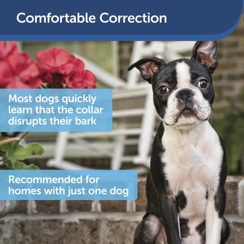 PetSafe® Ultrasonic Bark Control Dog Collar 6 PetSafe® Ultrasonic Bark Control Dog Collar - Image 4