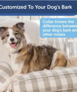 PetSafe® Citronella/Unscented Spray Bark Control Dog Collar 17 PetSafe® Citronella/Unscented Spray Bark Control Dog Collar -Schlage Shop PBC00 16368 PT01