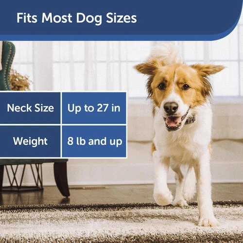 PetSafe® Citronella/Unscented Spray Bark Control Dog Collar 8 PetSafe® Citronella/Unscented Spray Bark Control Dog Collar - Image 6