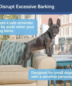 PetSafe® Lite Rechargeable Bark Dog Collar -Schlage Shop PBC00 16446 PT01