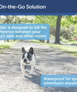 PetSafe® Lite Rechargeable Bark Dog Collar -Schlage Shop PBC00 16446 PT02