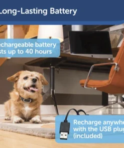 PetSafe® Lite Rechargeable Bark Dog Collar -Schlage Shop PBC00 16446 PT04
