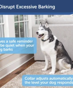 PetSafe® Bark Control Dog Collar -Schlage Shop PBC00 16634 SC5