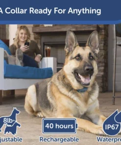 PetSafe® SMART DOG Trainer Dog Collar -Schlage Shop PDT00 15748 PT03