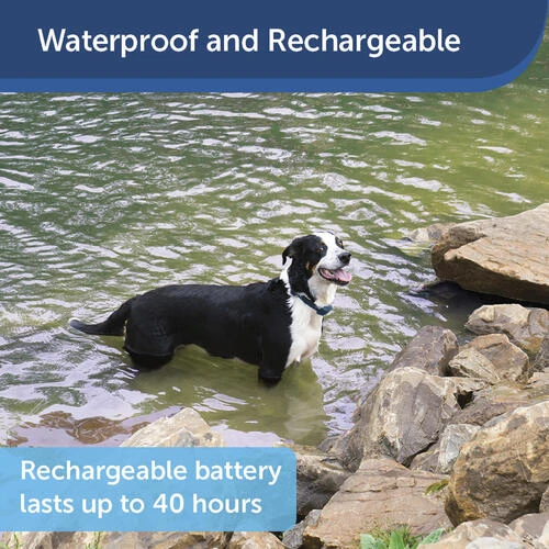 PetSafe® 300 Yard Lite Remote Trainer Dog Collar 7 PetSafe® 300 Yard Lite Remote Trainer Dog Collar - Image 5