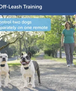 PetSafe® 300 Yard Lite Remote Trainer Dog Collar 15 PetSafe® 300 Yard Lite Remote Trainer Dog Collar -Schlage Shop PDT00 16024 PT05