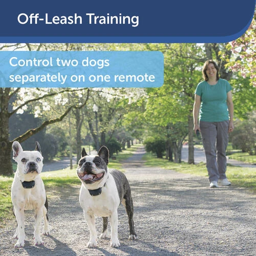 PetSafe® 300 Yard Lite Remote Trainer Dog Collar 8 PetSafe® 300 Yard Lite Remote Trainer Dog Collar - Image 6