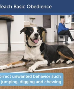 PetSafe® 100 Yard Remote Trainer Dog Collar -Schlage Shop PDT00 16126 PT01