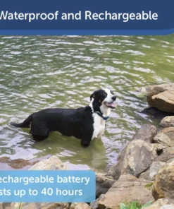 PetSafe® 100 Yard Remote Trainer Dog Collar -Schlage Shop PDT00 16126 PT04