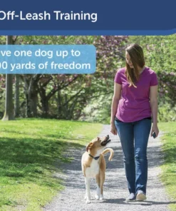 PetSafe® 100 Yard Remote Trainer Dog Collar -Schlage Shop PDT00 16126 PT05