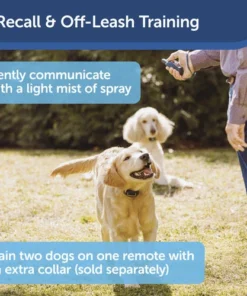 PetSafe® Remote Spray Trainer Dog Collar -Schlage Shop PDT00 16395 PT02