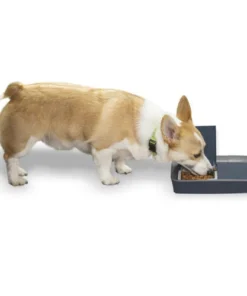 PetSafe® Digital Two Meal Pet Feeder -Schlage Shop PFD00 15426 PT06