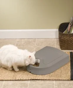 PetSafe® Eatwell™ 5-Meal Automatic Pet Feeder -Schlage Shop PFD11 13707 Eatwell 5 Meal Feeder Scene 1