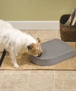 PetSafe® Eatwell™ 5-Meal Automatic Pet Feeder -Schlage Shop PFD11 13707 Eatwell 5 Meal Feeder Scene 2