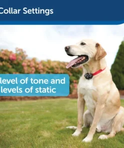 PetSafe® Wireless Pet Containment System -Schlage Shop PIF 300 PT04