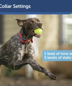 PetSafe® Pawz Away® Extra Receiver Dog Collar 11 PetSafe® Pawz Away® Extra Receiver Dog Collar -Schlage Shop PIF00 13672 PT02 2