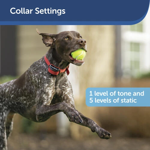 PetSafe® Wire Break Locator Kit 4 PetSafe® Wire Break Locator Kit - Image 2