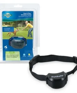 PetSafe® Stay & Play® Wireless Fence Rechargeable Receiver Dog Collar