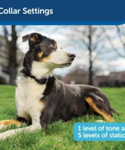 PetSafe® Free To Roam™ Wireless Pet Containment System -Schlage Shop PIF00 15001 PT04